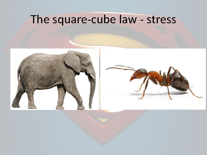 The square-cube law - stress 