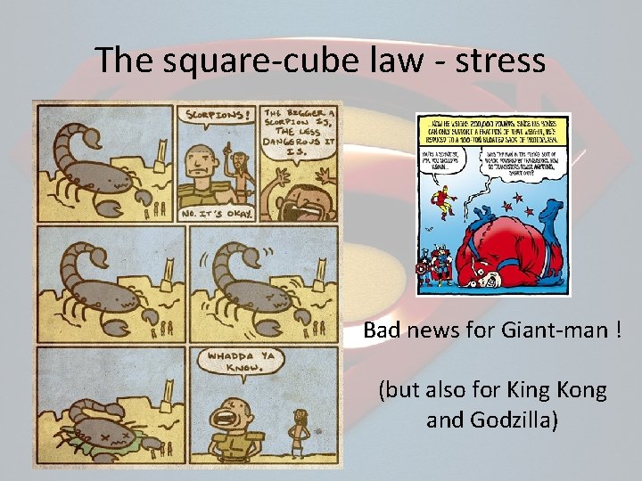 The square-cube law - stress Bad news for Giant-man ! (but also for King