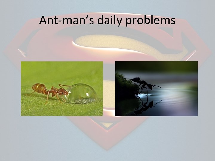 Ant-man’s daily problems 