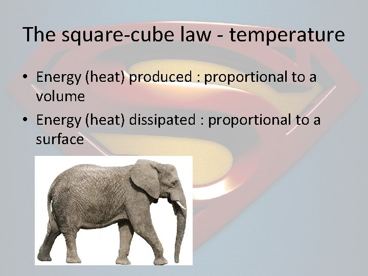 The square-cube law - temperature • Energy (heat) produced : proportional to a volume