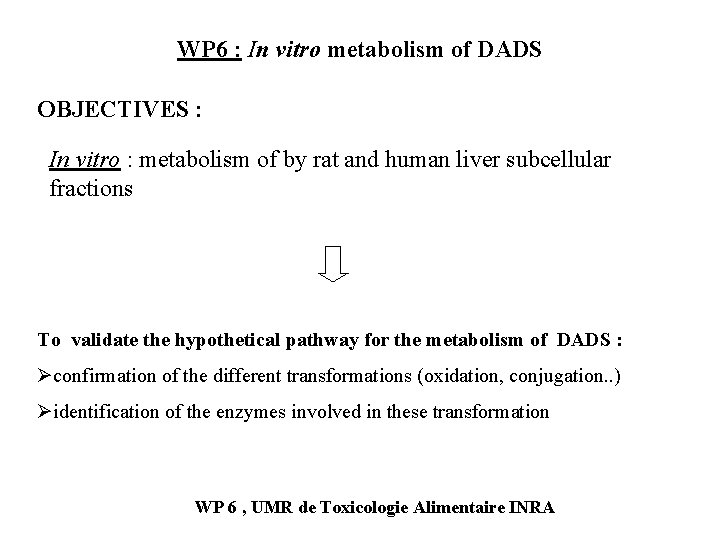 WP 6 : In vitro metabolism of DADS OBJECTIVES : In vitro : metabolism