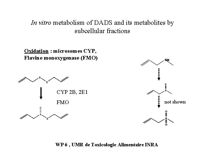 In vitro metabolism of DADS and its metabolites by subcellular fractions Oxidation : microsomes