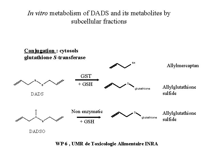 In vitro metabolism of DADS and its metabolites by subcellular fractions Conjugation : cytosols