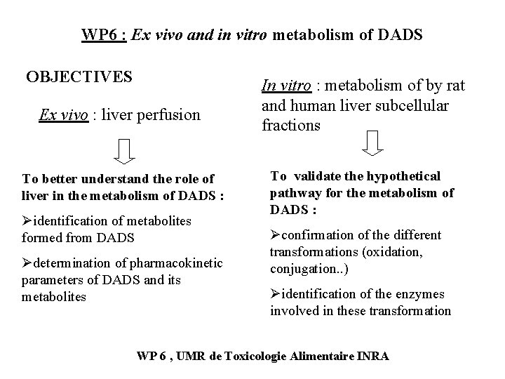 WP 6 : Ex vivo and in vitro metabolism of DADS OBJECTIVES Ex vivo