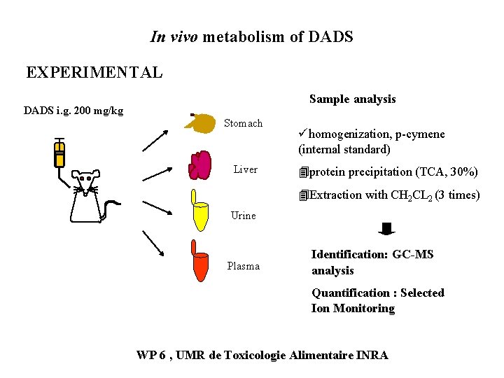 In vivo metabolism of DADS EXPERIMENTAL Sample analysis DADS i. g. 200 mg/kg Stomach