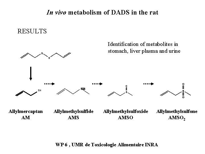 In vivo metabolism of DADS in the rat RESULTS Identification of metabolites in stomach,