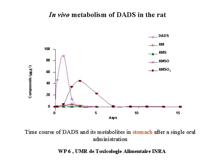 In vivo metabolism of DADS in the rat DADS AM 100 AMS Compounds (mg.