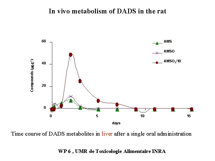 In vivo metabolism of DADS in the rat 60 AMS Compounds (mg. g-1) AMSO