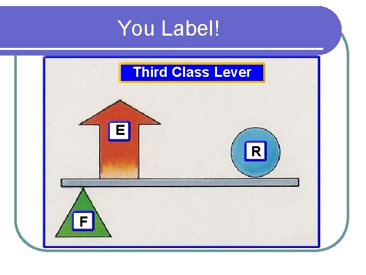 You Label! Third Class Lever E R F 