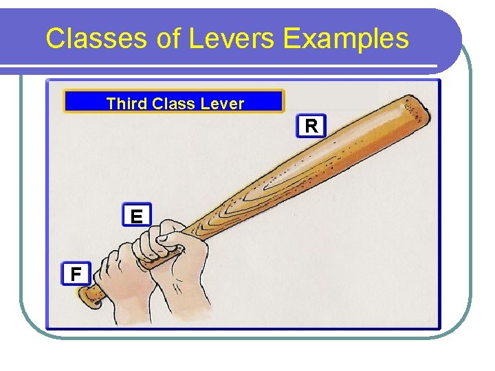 Classes of Levers Examples Third Class Lever R E F 