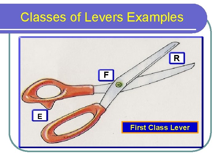 Classes of Levers Examples R F E First Class Lever 