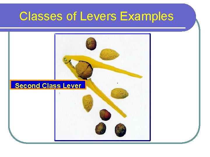 Classes of Levers Examples Second Class Lever 