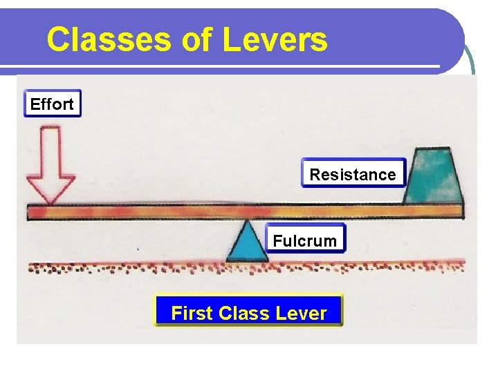Classes of Levers Effort Resistance Fulcrum First Class Lever 