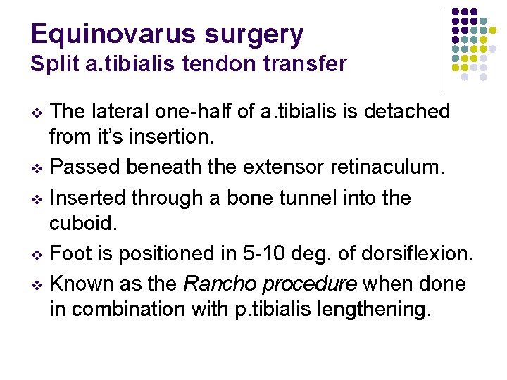 Equinovarus surgery Split a. tibialis tendon transfer The lateral one-half of a. tibialis is