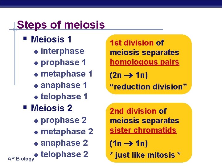 Steps of meiosis § Meiosis 1 interphase u prophase 1 u metaphase 1 u