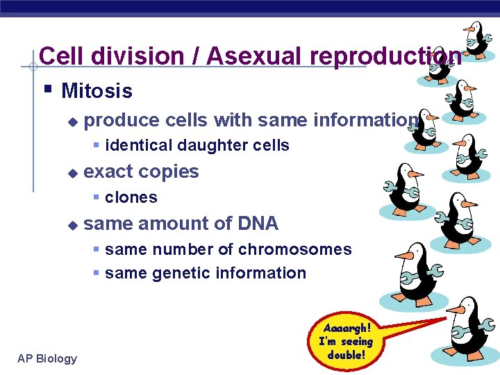 Cell division / Asexual reproduction § Mitosis u produce cells with same information §