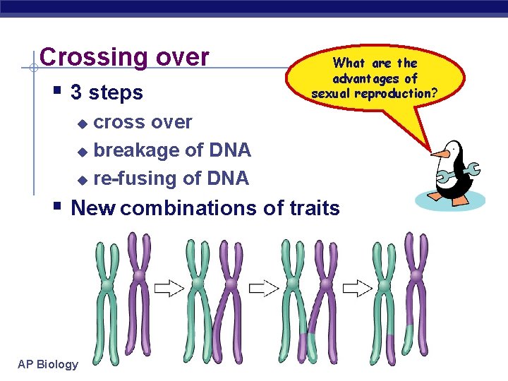 Crossing over § 3 steps What are the advantages of sexual reproduction? cross over