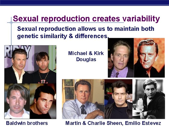 Sexual reproduction creates variability Sexual reproduction allows us to maintain both genetic similarity &