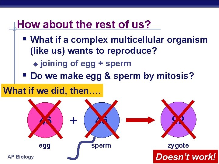 How about the rest of us? § What if a complex multicellular organism (like