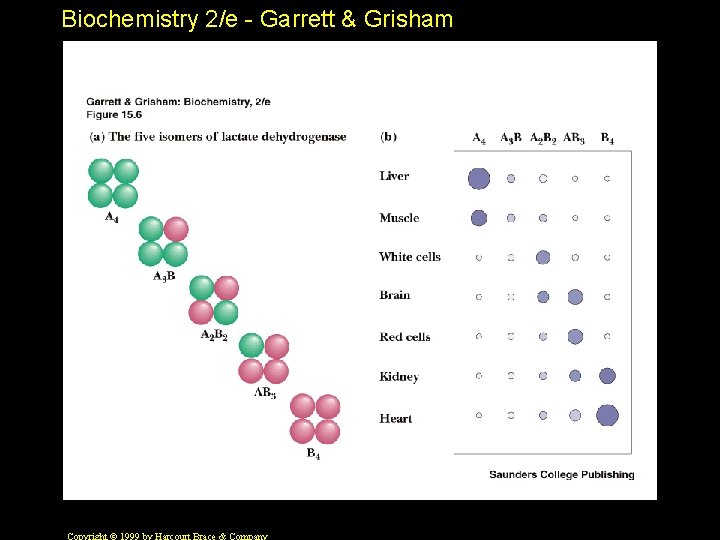 Biochemistry 2/e - Garrett & Grisham 