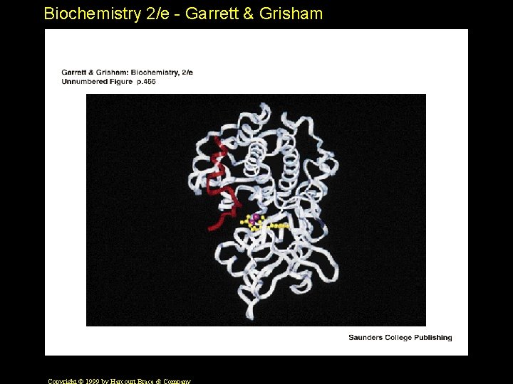 Biochemistry 2/e - Garrett & Grisham 