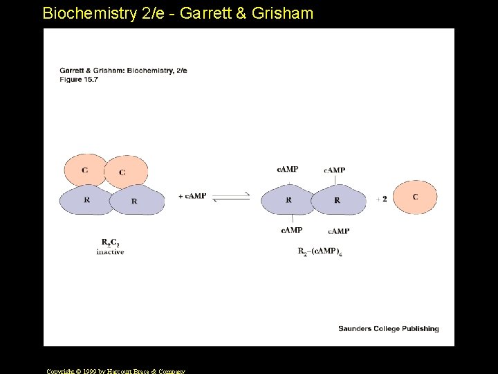 Biochemistry 2/e - Garrett & Grisham 