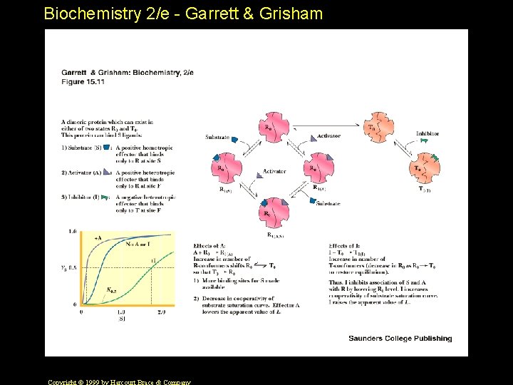 Biochemistry 2/e - Garrett & Grisham 