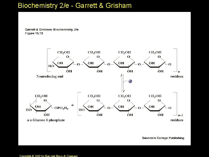 Biochemistry 2/e - Garrett & Grisham 