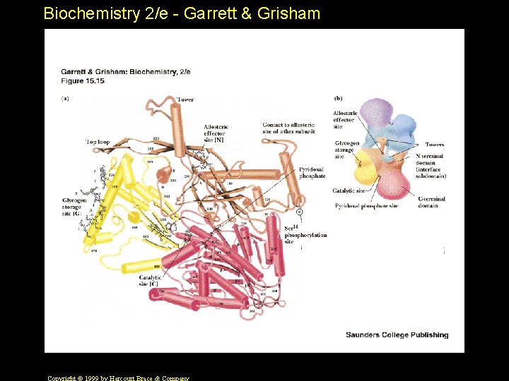 Biochemistry 2/e - Garrett & Grisham 