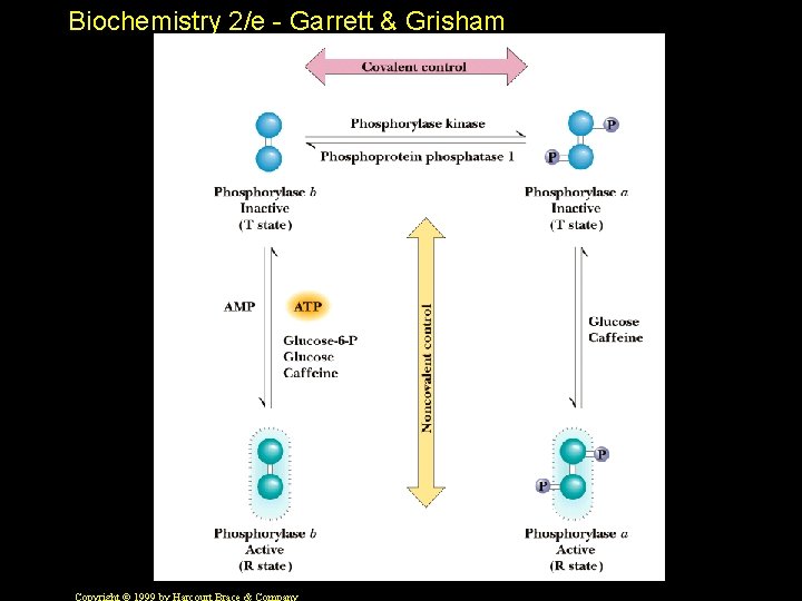 Biochemistry 2/e - Garrett & Grisham 