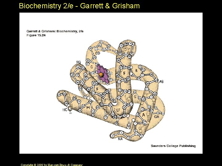 Biochemistry 2/e - Garrett & Grisham 