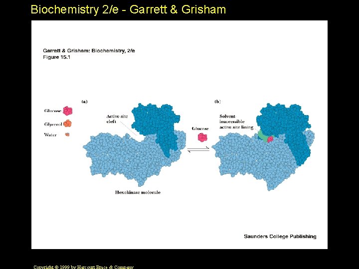Biochemistry 2/e - Garrett & Grisham 