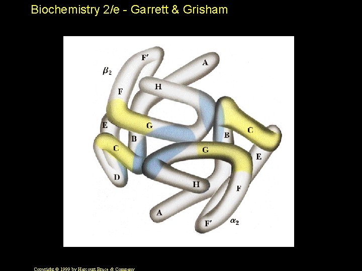 Biochemistry 2/e - Garrett & Grisham 