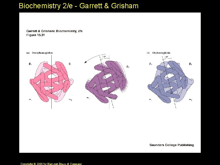 Biochemistry 2/e - Garrett & Grisham 