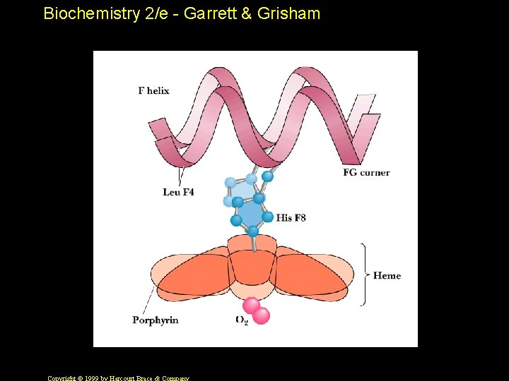 Biochemistry 2/e - Garrett & Grisham 