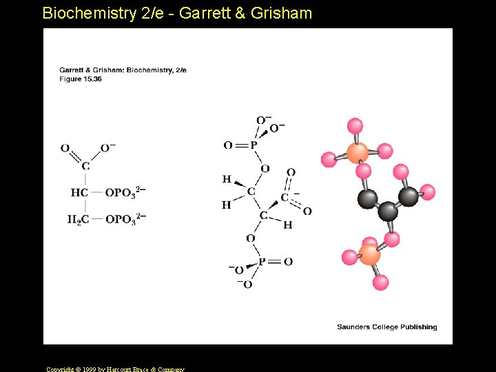 Biochemistry 2/e - Garrett & Grisham 