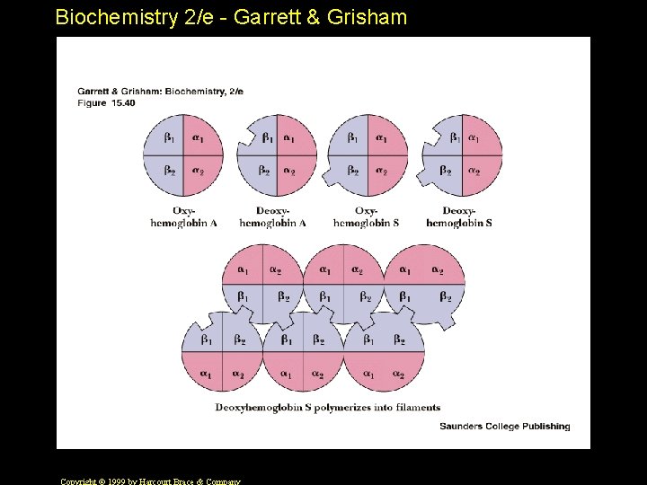 Biochemistry 2/e - Garrett & Grisham 