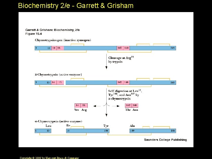 Biochemistry 2/e - Garrett & Grisham 