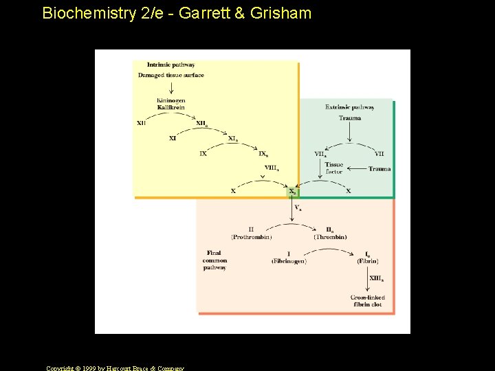 Biochemistry 2/e - Garrett & Grisham 