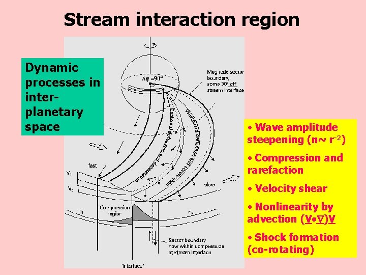 Stream interaction region Dynamic processes in interplanetary space • Wave amplitude steepening (n~ r-2)