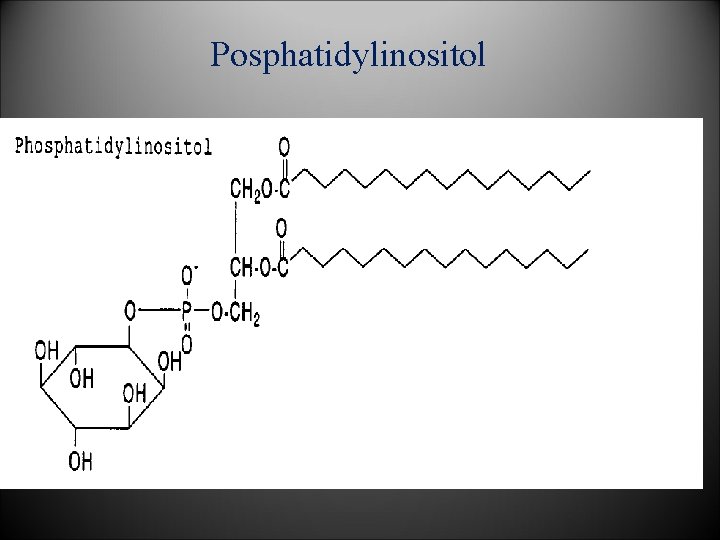 Posphatidylinositol 