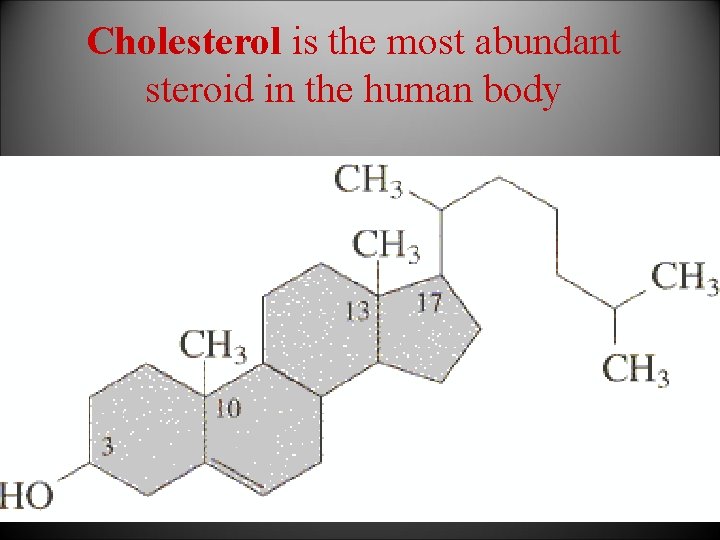 Cholesterol is the most abundant steroid in the human body 