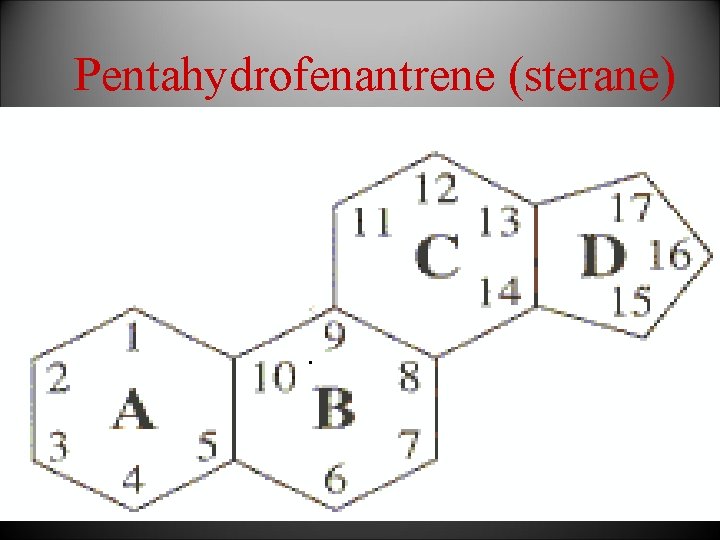 Pentahydrofenantrene (sterane) 