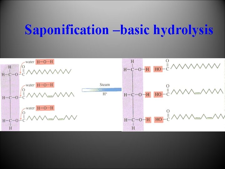 Saponification –basic hydrolysis 