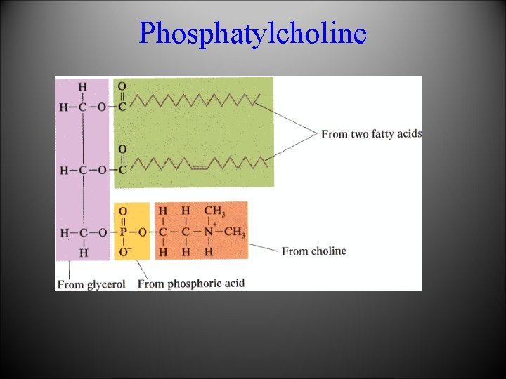 Phosphatylcholine 