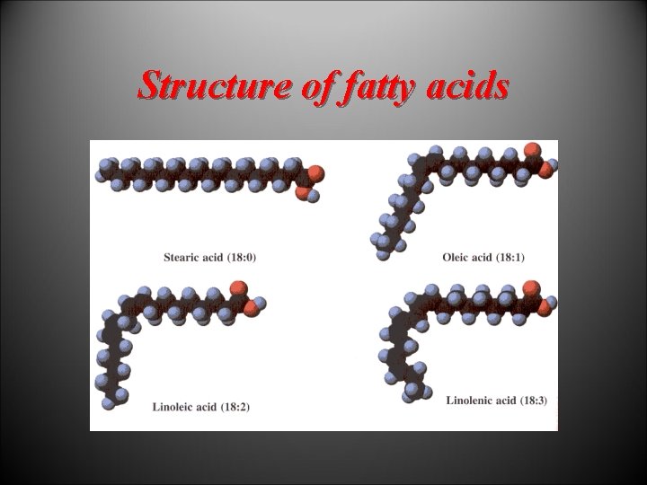 Structure of fatty acids 