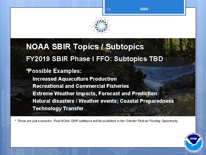 12 SBIR NOAA SBIR Topics / Subtopics FY 2019 SBIR Phase I FFO: Subtopics