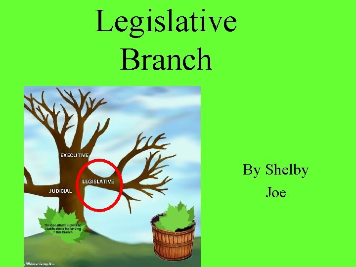 Legislative Branch By Shelby Joe 