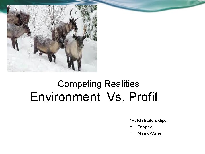 Competing Realities Environment Vs. Profit Watch trailers clips: • Tapped • Shark Water 