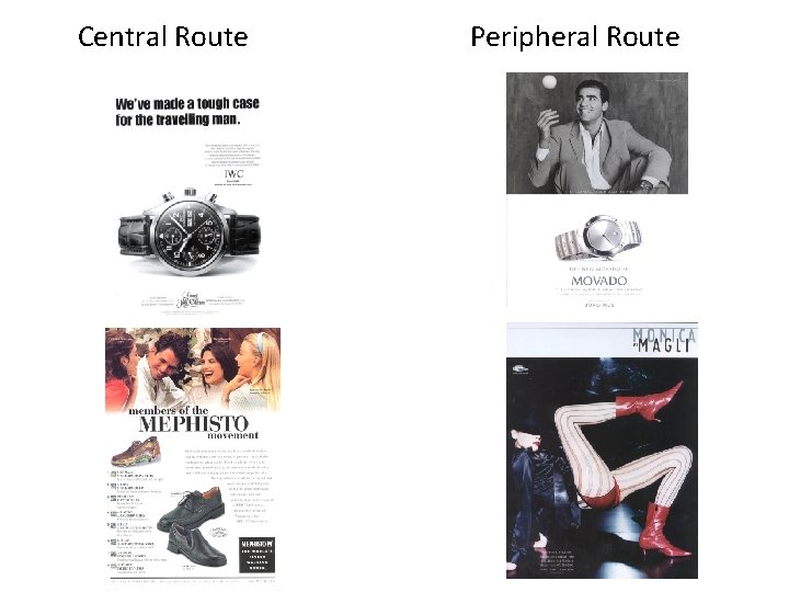 Central Route Peripheral Route 